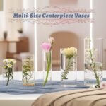 5pcs Glass Vase Cylinder Vases for Centerpieces Small Flower Glass Vases Home Decor Centerpiece Table Clear Flower Vase Decorations for Wedding＆Holiday 4,6,7.5,8,10 Inch Tall - Image 7