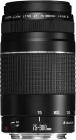 Canon RF 75-300mm f/4-5.6 Compact Telephoto Zoom Lens for RF Mount - Full Frame APS-C Compatible (Black) - Image 3