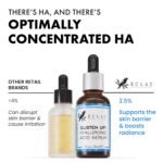 Eclat Skincare Hydrating Hyaluronic Acid Serum for Face – 2.5% Hyaluronic Acid + 3% B5, Green Tea & Jojoba Oil - Moisturizing & Plumping Formula for Radiant & Smoother Skin 1 Fl Oz - Image 4