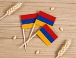 JAVD CYPS 100 Pcs Armenia Flag Armenian Toothpick Flags, Small Mini Stick Cupcake Toppers Armenian Flags,Country Picks Party Decoration Celebration Cocktail Food Bar Cake Flags - Image 3