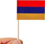 stidsds 100 Pcs Armenia Flag Armenia Toothpick Flags Mini Small Armenian Cupcake Toppers Stick Flags Banner Party Cocktail Fruit Decoration - Image 4
