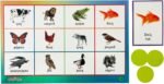 Armenian Animal Bingo, Eastern and Western Pronunciations, Learn Animal Names in Armenian, Ages 3+ - Image 4
