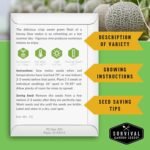Melon Seeds for Planting, 6-Variety Pack Heirloom Fruit Collection | Cantaloupe, Honeydew & Watermelons – Honey Rock, Hale’s Best, Tendersweet, Georgia Rattlesnake – Survival Garden Seeds - Image 3