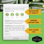 Zucchini & Summer Squash Seeds Collection for Planting | 5 Heirloom Non-GMO Varieties, Golden, Round, Grey, Black Beauty & Straight Neck Summer Squash - Survival Garden Seeds - Image 3