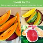 Tri-Color Watermelon Seeds for Planting - Heirloom Variety Pack | Crimson Sweet, Yellow Petite, & Tendersweet Orange Watermelons - 3-Variety Fruit Seed Collection - Survival Garden Seeds - Image 5