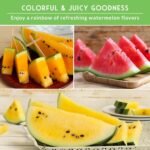 Tri-Color Watermelon Seeds for Planting - Heirloom Variety Pack | Crimson Sweet, Yellow Petite, & Tendersweet Orange Watermelons - 3-Variety Fruit Seed Collection - Survival Garden Seeds - Image 6