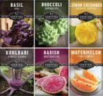 Rare Exotic Vegetable & Fruit Seeds for Planting – 6 Variety Heirloom Pack | Romanesco Broccoli, Lemon Cucumber, Watermelon Radish, Orange Watermelons, Kohlrabi, Purple Basil - Survival Garden Seeds - Image 2