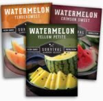 Tri-Color Watermelon Seeds for Planting - Heirloom Variety Pack | Crimson Sweet, Yellow Petite, & Tendersweet Orange Watermelons - 3-Variety Fruit Seed Collection - Survival Garden Seeds - Image 2