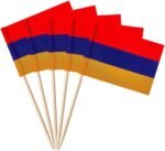stidsds 100 Pcs Armenia Flag Armenia Toothpick Flags Mini Small Armenian Cupcake Toppers Stick Flags Banner Party Cocktail Fruit Decoration - Image 2